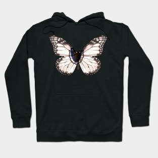 Massachusetts Flag Butterfly - Gift for Massachusettsan From Massachusetts MA Hoodie